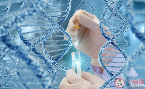 武汉助孕机构精选:同济、协和等热门医院借卵试管婴儿成功率深度解析