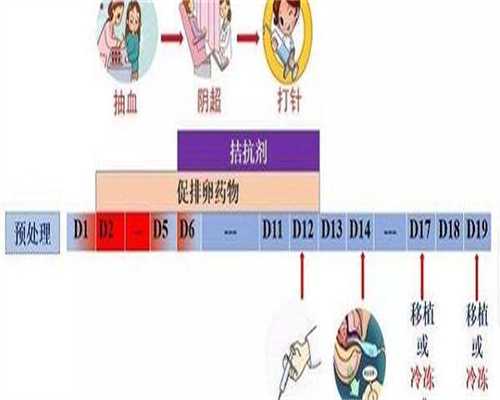 武汉试管供卵助孕借卵子成功案例分析武汉助孕年龄限制