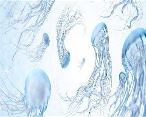 酒泉试管助孕流程及费用解析：助您了解代生助孕