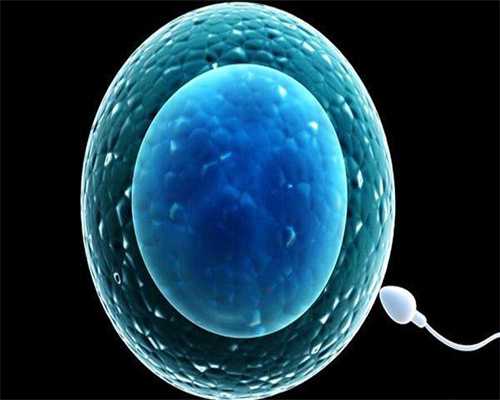 探秘湖北黄冈市口碑助孕医院：成功率与选择指南