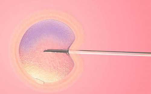 武汉借卵代生子价格及助孕招聘信息