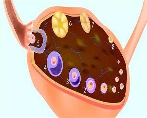 武汉协和三代试管婴儿费用多少