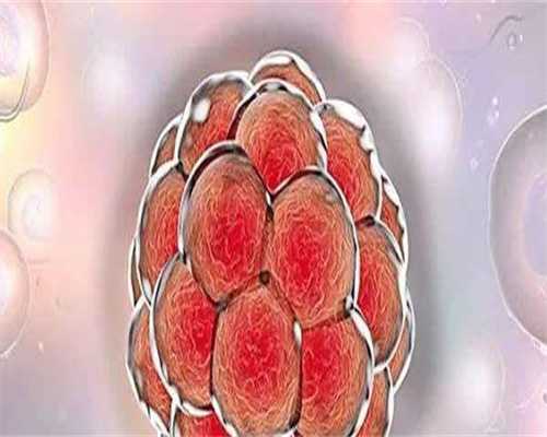 武汉供卵哪家好-武汉借卵子怀孕,
              武汉中西医结合医院生殖助孕科三