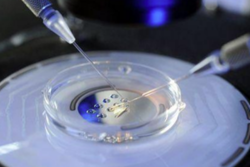 武汉三代试管助孕：科学育儿的新篇章与前景展望