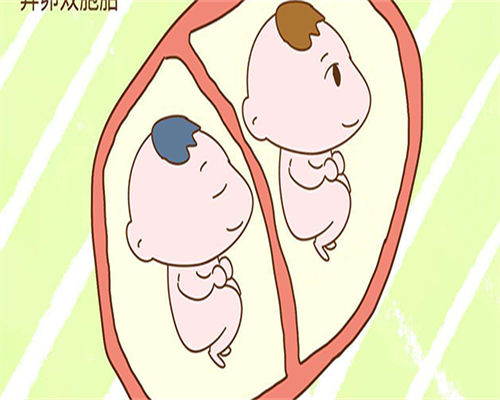 武汉与荆州试管婴儿技术对比：助您生育无忧