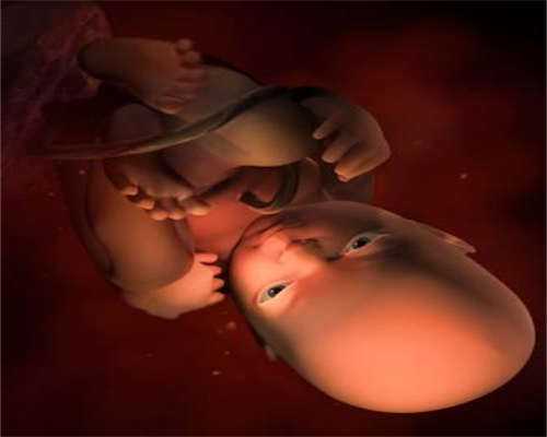 探寻浙江供卵试管与德阳助孕：流程、价格与成功经验