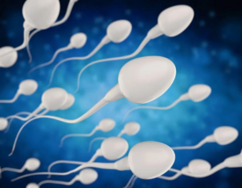 武汉借卵试管婴儿热门私立医院盘点,2026年费用明细公开