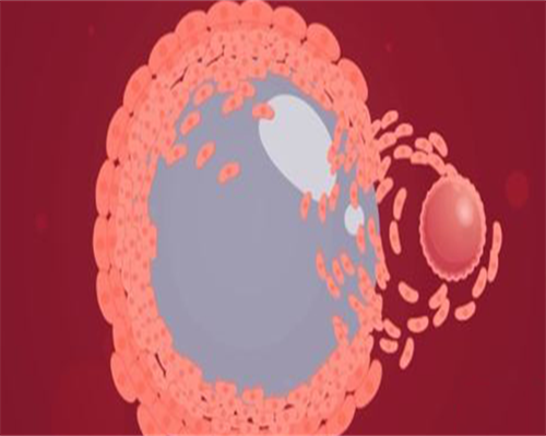 温州借卵子生男孩捐卵条件和报酬国内代生全程价格