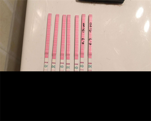 湖南合法助孕：高薪捐卵与专业代怀服务解析