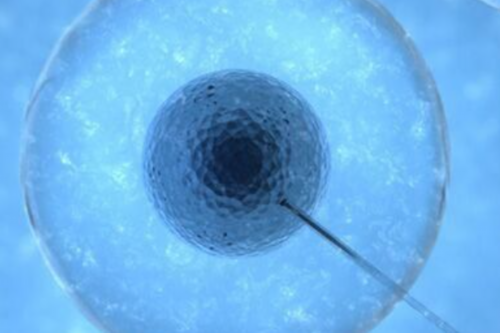 甘肃地区领先的供卵助孕服务：联系昆医附二院及宝孕代生机构详解