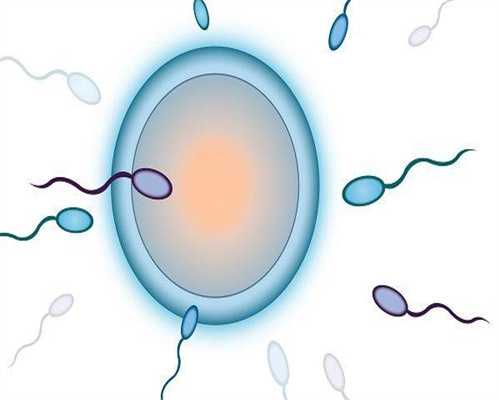 武汉赠卵试管供卵助孕私立医院排名武汉哪里能代怀