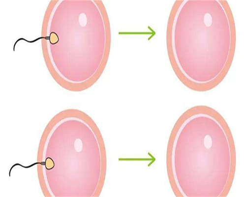 在黄冈三代试管生孩子要花多少钱
