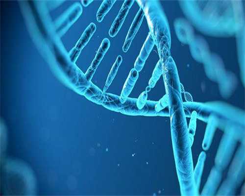 湖北宜昌试管婴儿医院选择指南：助您好孕