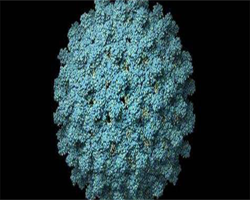 黄石试管助孕优选：权威医院排名与特色解析