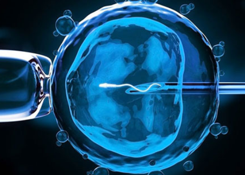 清远借卵生娃生殖科医生岗位职责求代怀机构的价格