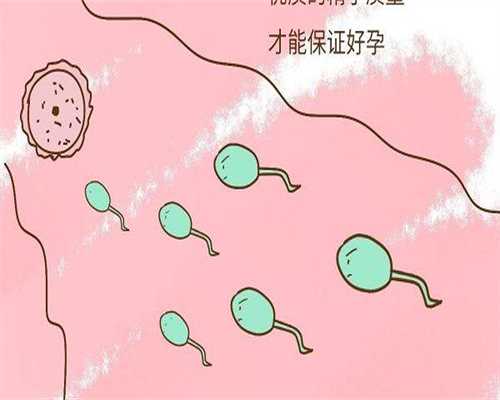 芜湖市第二人民医院精子储存费用明细与生育前保障