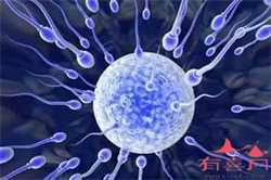 南京试管婴儿捐卵供卵，福建供卵试管婴儿中心